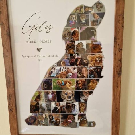 Custom Spaniel Photo Collage, Dog Lover Gift, Pet Memorial Gift, Pet Loss, Personalise With Your Digital Photos - Etsy Pet Memorial Ideas Dogs, Pet Loss Dog, Photo Collage Prints, Collage Foto, Pet Keepsake, Dog Dad Gifts, Dog Memorial Gift, Digital Photos, Pet Loss Gifts