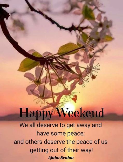 Happy Long Weekend Quotes, Long Weekend Quotes, Great Weekend Quotes, Happy Weekend Pictures, Ajahn Brahm, Saturday Greetings, Happy Long Weekend, Weekend Greetings, Have The Best Day