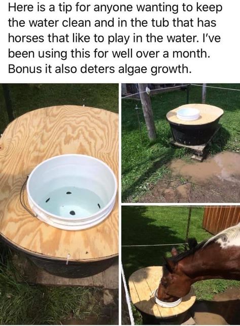 Horse Water Trough, Horse Feeder, Diy Garage Cabinets, Horse Paddock, Horse Farm Ideas, Barn Hacks, Diy Horse Barn, Horse Barn Ideas Stables, Horse Water