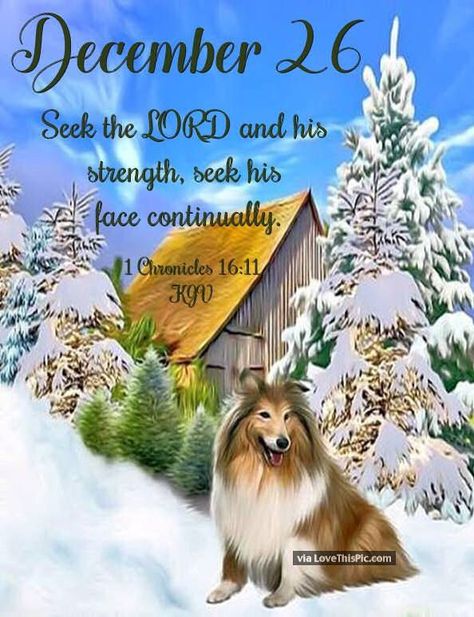 December 26 Bible Verse, December 26 Quotes, December 26 Blessings, December Prayers, December Blessings, Advent Catholic, December Scriptures, December Images, Christmas Greetings Quotes