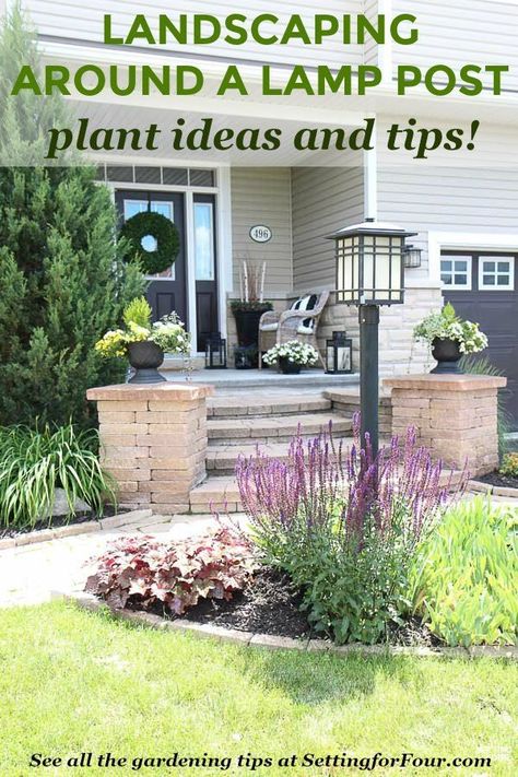 Learn helpful landscaping tips and tricks to hide a lamp post in the front yard. See the types of plants and flowers used to create a flower bed that adds curb appeal! Create A Flower Bed, Light Post Landscaping, Shed Inspiration, Front Yards Curb Appeal, Light Post, Garden Flower Beds, Garden Ideas Cheap, Landscaping Supplies, Plant Ideas