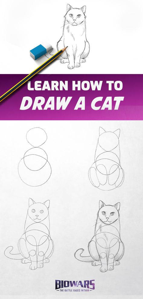 A collage of images depicting the process of drawing a cat. How To Draw Anime Cat, How To Draw A Cute Cat Step By Step, How To Draw Cow Step By Step, Draw A Cat Step By Step, How To Paint A Cat Step By Step, Cat Drawings Step By Step, How To Draw A Cat Step By Step Easy, Cat Drawing Tutorial Step By Step, How To Draw A Cat Step By Step