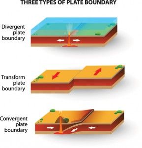 Three types of plate boundaries: Convergent, Transform and Divergent. Montessori, Divergent Plate Boundary, Convergent Plate Boundary, Convergent Divergent Transform, Types Of Plate Boundaries, Divergent Boundary, Tectonic Plate Boundaries, Seafloor Spreading, Plate Tectonic Theory