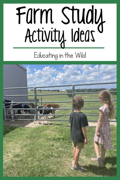 These were our favorite activities from our farm unit this year. From field trips to scavenger hunts, we had a fantastic time with these hands-on activities perfect for a homeschool farm study! Hands On Farm Activities Preschool, Homeschool Farm Unit Study, Homeschool Coop Activities, Farm Summer Camp Activities, Farm Learning Activities For Preschool, Farm Field Trip Activities, Farm Homeschool Activities, 4 H Activities Ideas, 4h Activities For Kids