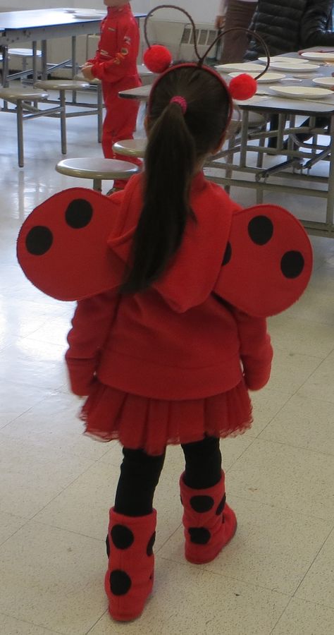 Ladybird Halloween Costume, Ladybird Halloween, Ladybug Girl, Ladybug Costume, Girl Halloween Costume, Rainbow Cat, Girl Halloween, Dress Up Costumes, Halloween 2024