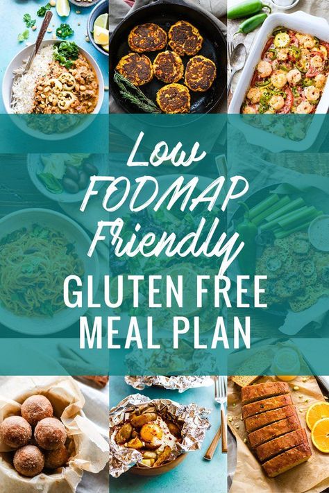 1200 Calorie Diet Meal Plans, Fodmap Recipes Dinner, Low Fodmap Recipes Dinner, Fodmap Meal Plan, Fodmap Friendly Recipes, Fodmap Snacks, Low Fodmap Diet Recipes, Gluten Free Meal Plan, Meal Plan Grocery List