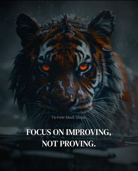 Lion Mentality, Mentality Quotes, Selfish People Quotes, Tiger Quotes, Jumah Mubarak, Quotes Strength, Lion Quotes, Big Cat Rescue, Metaphysical Spirituality