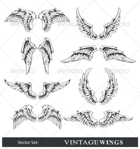 Vector set of wings by Vecster Vector set of wings. All elements are grouped.ALL TEXT IS CURVE ! Chicano Tattoo, Angel Wings Tattoo, Wing Tattoo, Wings Art, Vintage Decoration, Celtic Tattoos, Wings Tattoo, Skull Tattoos, Trendy Tattoos