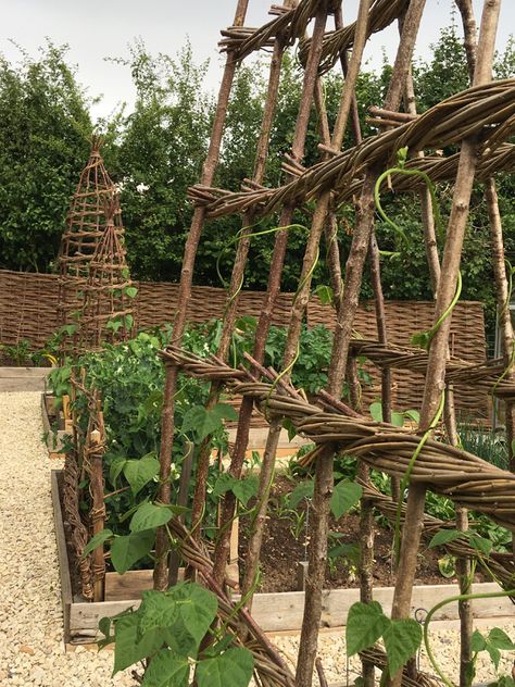 Jay Davey Bespoke Willow - Bespoke Willow Willow Projects, Garden Edger, Willow Fence, Willow Garden, Twig Art, Garden Obelisk, Corner Garden, Backyard Vegetable Gardens, Veg Garden