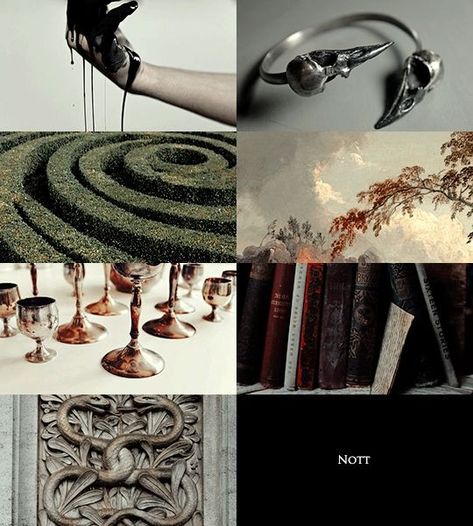 Sacred Twenty Eight, Four Houses Of Hogwarts, Theodore Nott, Dark Witch, Aesthetic Edits, Slytherin Aesthetic, Story Board, Marauders Era, Dark Lord