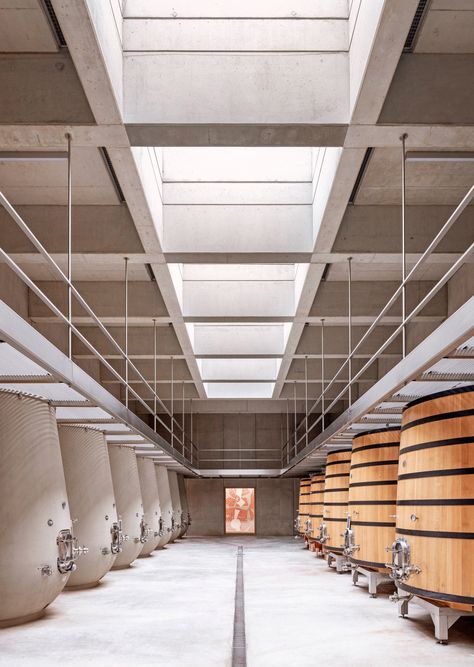 Les Davids Winery Wine Cellar Modern, Modern Adobe, Wineries Architecture, Adobe Home, Cellar Design, Organic Wine, Frank Gehry, Architectural Photographers, Minimalist Architecture