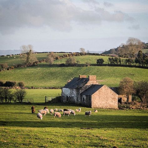 Ireland Aesthetic Irish Cottage, Aesthetic Ireland, Irish Aesthetic, Ireland Aesthetic, Irish Beauty, Irish Countryside, Irish Landscape, Irish Cottage, Ireland Landscape