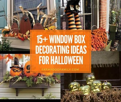 30+ Awesome DIY Deck Railing Designs & Ideas For 2019 Window Box Decorating Ideas, Box Decorating Ideas, Window Boxes Ideas, White Kichen, Terra Cotta Pots Garden, Repurpose Projects, Fall Window Boxes, Diy Porch Decor, Pinecone Christmas