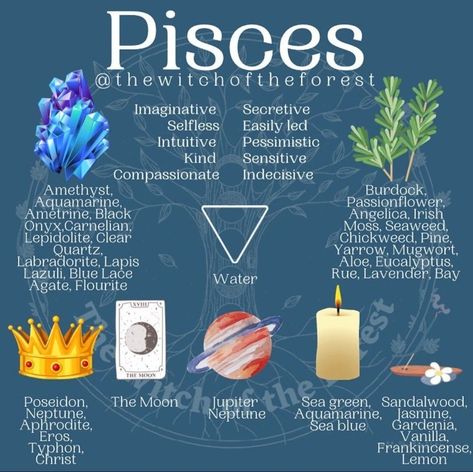 Pisces Season, All About Pisces, Moon Sea, About Pisces, Astrology Pisces, New Moon Rituals, Aquarius Season, Zodiac Pisces, Irish Moss