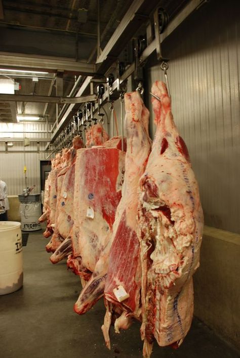 Planning and managing direct marketing opportunities for beef - Beef Meat Factory, One Pound Of Fat, Meat Art, Meat Butcher, Butcher Box, Meat Industry, Meat Processing, Meat Markets, Butcher Shop