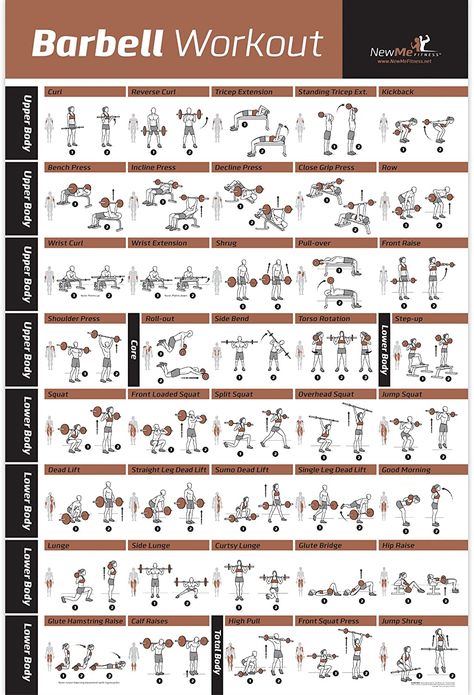 Weight Lifting Chart, Barbell Workout Routine, Free Weight Workout, Strength Training Routine, Home Gym Exercises, Full Body Workout Routine, Lifting Workouts, Barbell Workout, Gym Weights