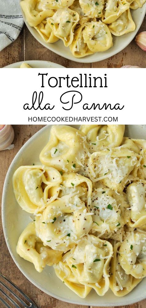 Plate of tortellini alla panna. Tortellini Pasta Sauce Easy Recipes, Easy Recipes With Cheese Tortellini, Creamy Tortellini Alfredo, Cheese Tortellini Recipes Olive Oil, Tortellini Olive Oil Sauce, Tortellini For One, Olive Oil Tortellini, 4 Cheese Tortellini Sauce, 5 Cheese Tortellini Sauce