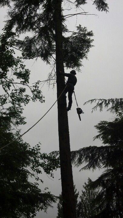 Logging: an honorable occupation that supported multiple generations in Oregon. Vintage Logging Photos, Logger Man Aesthetic, Logging Aesthetic, Lumberjack Aesthetic, Logging Industry, Timber Logs, Tree Logs, Tree Surgeons, Logging Equipment