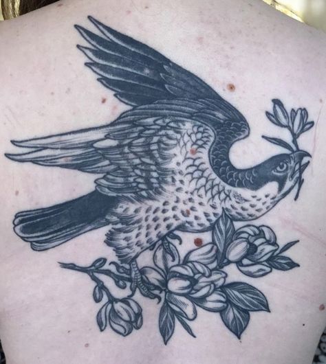 Don Nolan Tattoo Flash, Sparrowhawk Tattoo, Osprey Tattoo, Traditional Bird Tattoo, Falcon Tattoo, Tattoo Themes, Bird Tattoo, Wings Tattoo, Vintage Illustrations