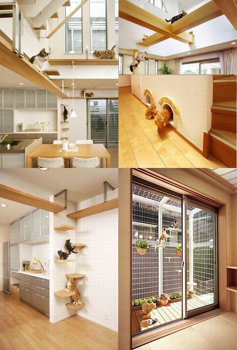 This is an Interesting design for a house if I had a cat as a pet. Cat House Diy, Cat Playground, Casa Vintage, Cat Shelves, Casa Container, Animal Room, Cat Condo, Cat Room, Cat Wall