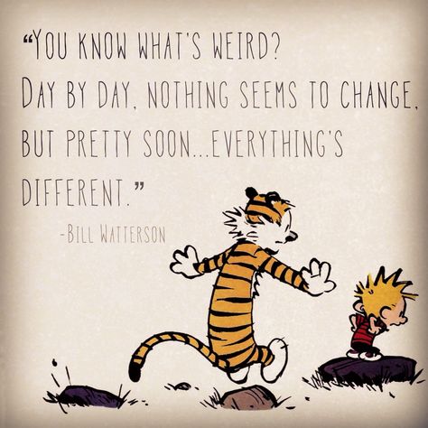 Greatest Calvin And Hobbes Quotes. QuotesGram by @quotesgram Calvin Und Hobbes, Calvin And Hobbes Quotes, Calvin And Hobbes Comics, Fav Books, Baymax, Grad Cap, A Tiger, Trendy Quotes, Calvin And Hobbes