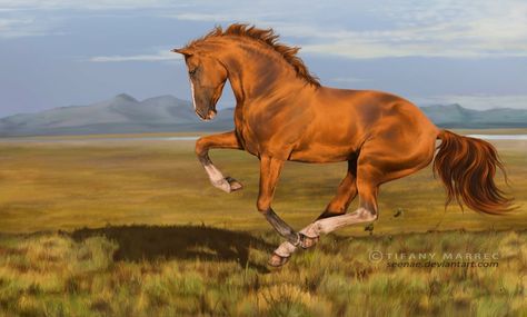 Horses Photos, Commission Prices, Equine Artwork, Horse Coat Colors, Horse Paintings, Hyper Realistic Paintings, Pretty Artwork, Horse Artwork, Equestrian Art