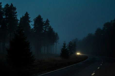 Dark Hour, Wide Pictures, Dark Naturalism, Blue Landscape, Foggy Forest, Dark Paradise, Perfect Weather, Open Doors, Blue Hour