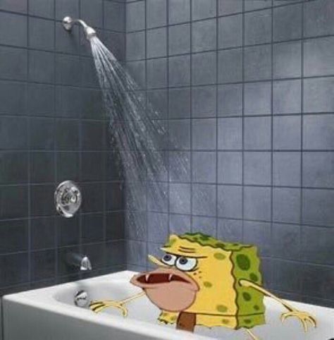 When you're singing in the shower but someone tells you to "shut up" 😂😑 Shower Songs Playlist Cover, Singing In The Shower Playlist Cover, Funny Spotify Playlist, Singing Meme, Shower Playlist, Shower Song, Spotify Playlist Cover, Blank Memes, Jenna Marbles