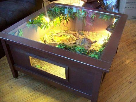 Turtle coffee table terrarium enclosure Terrarium Enclosure, Table Terrarium, Aquarium Coffee Table, Terrarium Table, Turtle Coffee, Tortoise Table, Tortoise House, Tortoise Enclosure, Amazing Aquariums