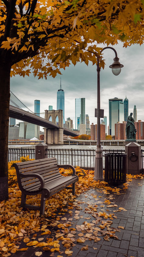 nyc in fall Nyc Fall Wallpaper Iphone, Autumn In America, New York Iconic Places, Autumn In New York Wallpaper, New York City In Fall, New York Morning Aesthetic, Cold Spring New York, America Vibes Aesthetic, New York Vibes Aesthetic