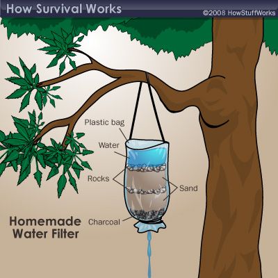 How to Survive in the Jungle(or in the wild or in your backyard) Miejski Survival, Survivor Quotes, Survival Life Hacks, Apocalypse Survival, Seni Dan Kraf, Survival Techniques, Zombie Survival, Homestead Survival, Survival Life