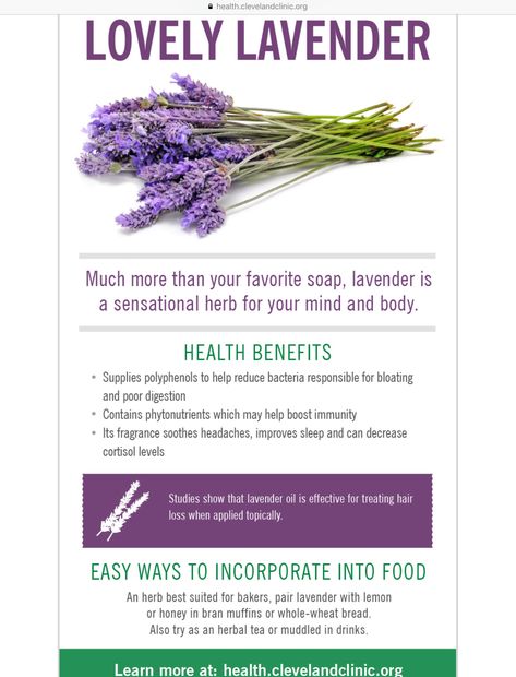 Health Benefits Of Lavender, Benefits Of Lavender, Lavender Benefits, Poor Digestion, Lovely Lavender, Food Heaven, Recipes From Heaven, Immune Boosting, Yummy Treats