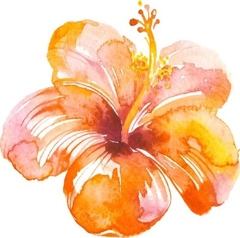 Hibiscus Flower Widget, Orange Hibiscus Flower, Flower Widget, Water Colour Flower, Orange Hibiscus, Beach Wall Collage, Cute Summer Wallpapers, Wallpaper Iphone Summer, 수채화 그림