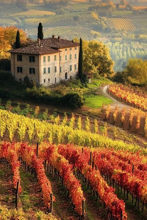 Experience the Wine Harvest in Tuscany, Italy🍇 Autumn is the perfect time to visit Tuscany for the wine harvest. Enjoy vineyard tours, wine tastings, and picturesque countryside views. 🌿🍷 #WineHarvest #AutumnTravel #Tuscany #Italy Tuscany Aesthetic, Tuscany Wine Tour, Tuscany Vineyard, Tuscany Wine, Italy Country, Tuscany Landscape, Italy Landscape, Europe Aesthetic, Amazing Nature Photography