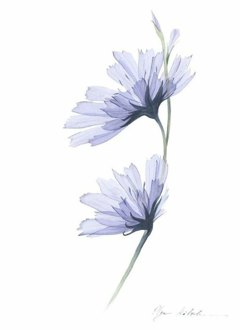 Transparent Flowers, Soyut Sanat Tabloları, Watercolor Flower Art, 수채화 그림, Watercolor Flowers Paintings, Watercolor Art Lessons, Watercolor Inspiration, Flower Art Painting, Watercolor Cards