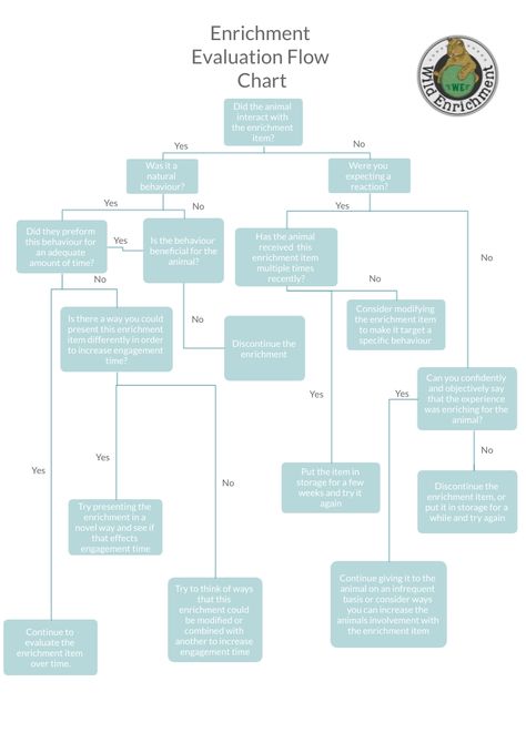 One if the most important thing you can do to create a more effective enrichment program is to design a framework for evaluating enrichment items over the long term. Check out this evaluation flow chart and start evaluating your enrichment programs! Raptor Enrichment, Reptile Enrichment, Feline Enrichment, Bird Enrichment, Zoo Enrichment, Enrichment Projects, Animal Enrichment, Branches Diy, Pet Ideas