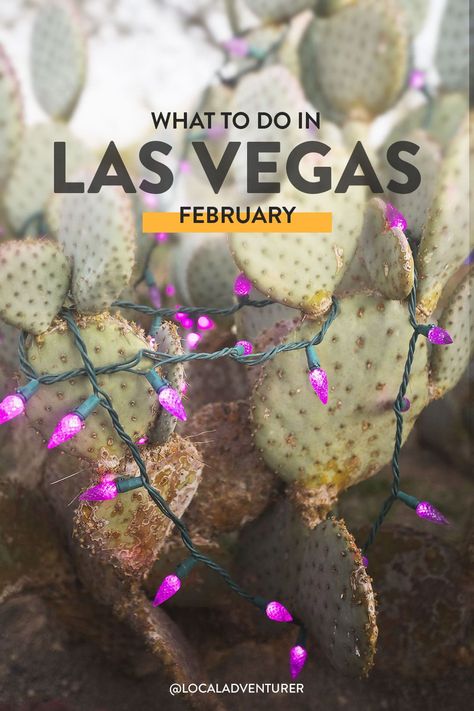 Las Vegas In February, Vegas In February, What To Pack For Las Vegas, Things To Do In March, Las Vegas Trip Planning, Vegas Trip Planning, Things To Do In Vegas, Lake Tahoe Nevada, Vegas Birthday