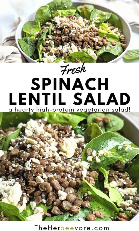 This Spinach Lentil Salad recipe is a vibrant healthy meal, with a simple 5-minute vinaigrette dressing!  Nothing like a vibrant bold salad to let that summer produce shine! Spinach And Lentil Salad, Lentil With Spinach Recipes, Lentil Spinach Salad, Vegan Spinach Salad Recipes, Salad With Vinaigrette, Spinach Lentil, Lentil Salad Recipes, Quinoa Spinach, Spinach Salad Recipes