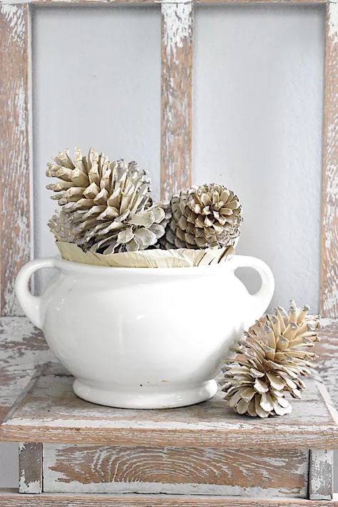 How to Bleach Pinecones | Hometalk Bleaching Pinecones, Bleached Pinecones, Lighting Timers, Bleach Pinecones, Pinecone Ideas, Large Pine Cones, Mantel Garland, Book Christmas Tree, Easy Fall Wreaths