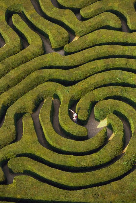 Get Lost in a Maze Maze Aesthetic, Second Date Ideas, Garden Maze, Color Cube, Second Date, Sustainable Supply Chain, Maze Game, Outdoor Aesthetic, Dinner And A Movie