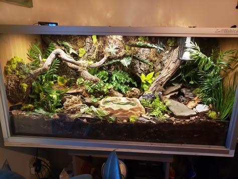 Garter Snake Terrarium, Naturalistic Snake Enclosure, Leopard Gecko Bioactive Vivarium, Snake Tanks Terrariums, African House Snake Enclosure, Snake Terrarium Decor, Corn Snake Vivarium Ideas, Cute Snake Tank Ideas, Custom Ball Python Enclosure