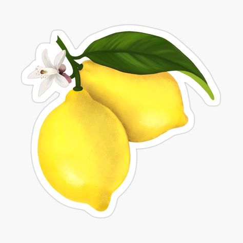 Lemon Sticker, Yellow And Coral, Lemon Flowers, Make Lemonade, Coral Design, Lemonade Stand, Coloring Stickers, Lemon Yellow, Girlfriend Boyfriend