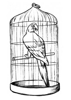 Coloring page parrot in a cage Pottery Drawing, Colouring In Sheets, Bird In Cage, Colouring Art Therapy, Pakistan Map, Bird Cages For Sale, Parrot Drawing, Bird In A Cage, Minecraft Comics