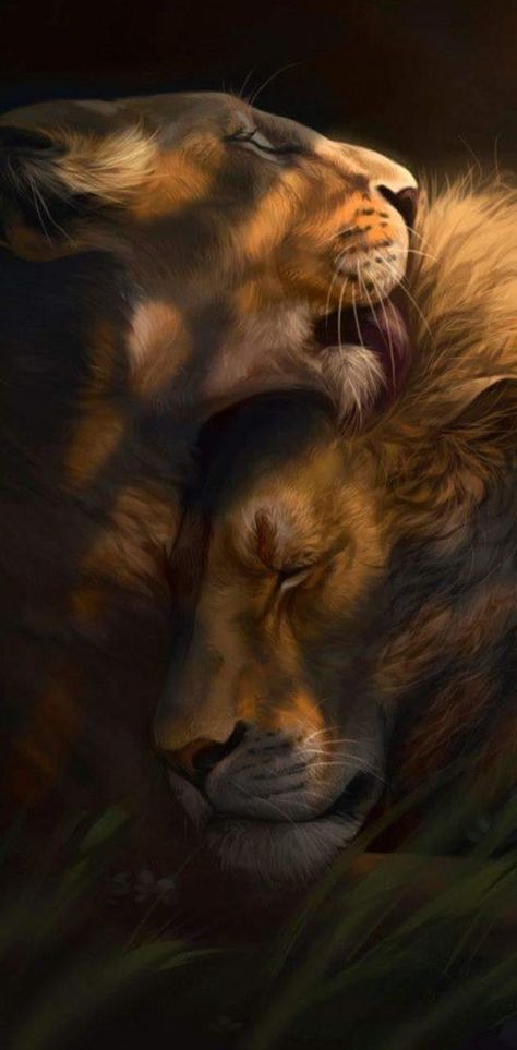 Lion, Deviantart