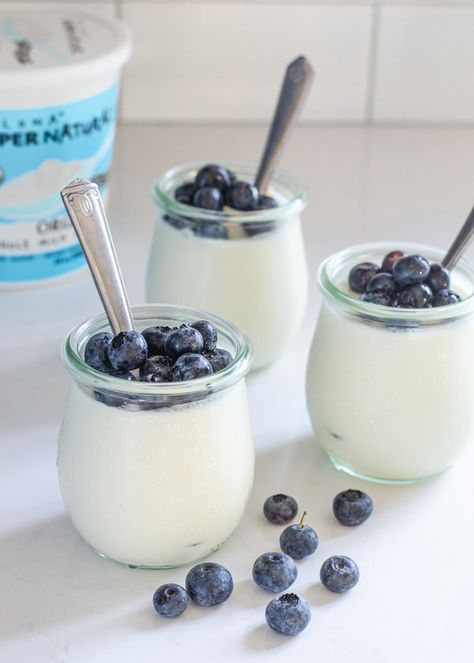 Jars of yogurt panna cotta with blueberries in them. Blueberry Yogurt, Fruit Yogurt, Panna Cotta Recipe, Best Probiotic, Blue Fruits, Natural Yogurt, Mini Jars, Light Desserts, Vanilla Yogurt