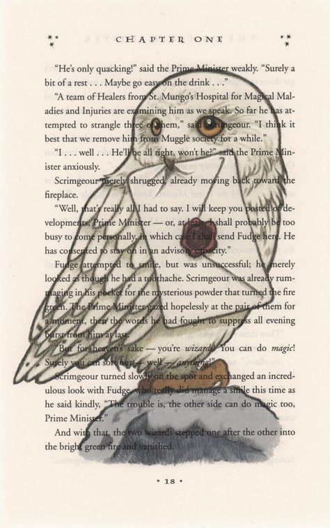 Hedwig Art, Fanart Harry Potter, Imprimibles Harry Potter, Art Harry Potter, Harry Potter Nursery, Tapeta Harry Potter, Harry Potter Book, Buku Harry Potter, Theme Harry Potter