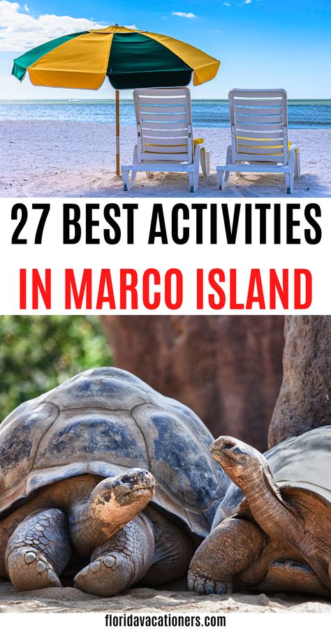 Things To Do In Marco Island Florida you must do for your perfect trip to paradise! marco island florida | what to do in marco island, where to stay in marco island including the best marco island resorts | things to do in florida| beaches in marco island| marco island, tours in marco island florida with kids | Marco island restaurants, activities and attractions | #marcoisland #florida #floridavacation Marco Island Florida Restaurants, Santa Maria Island Florida, Tigertail Beach Marco Island, Marco Island Florida With Kids, Marco Island Florida Things To Do, Marco Island Restaurants, Beaches Near Orlando, Tampa Beaches, Florida With Kids