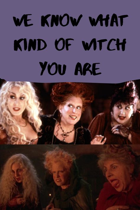 Which Witch Are You, Different Types Of Witches Quiz, Are You A Witch, Different Witches, What Witch Am I, What Type Of Witch Am I Quiz, Different Kinds Of Witches, What Kind Of Witch Am I, Type Of Witches