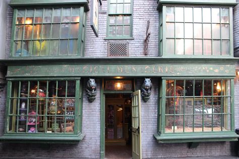 The Magical Menagerie animal shop has a snake in the window that will speak to you. Weasley Wizard Wheezes, Magical Menagerie, Animal Shop, Small Fountains, The Sorcerer's Stone, Real Fire, Diagon Alley, Universal Studios Orlando, Shop Fronts