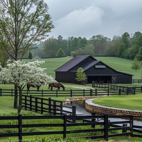 Dream Barn Stables, Dream Horse Barns, Stable Design, Farm Layout, Horse Stable, Barn Style House Plans, Black Barn, Dream Life House, Casa Country